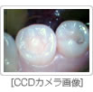 CCDJ摜